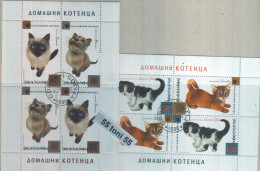 2013 Fauna - Pet Kittens 2 S/M ( 2 Set ) – Used  (O) BULGARIA / Bulgarie - Oblitérés