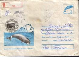 Romania - Stationery Cover 1994 Used - Marine Mammals - Greenland Whale ( Balaena Mysticetus ) - Ballenas