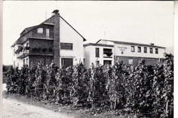 5563 KRÖV, Weingut Diewald-Fritzen - Kroev