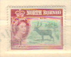 Noord-Borneo / North Borneo 0001 - Bornéo Du Nord (...-1963)