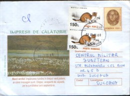 Romania - Stationery Cover 2001 Used - Flowers - Arctic Poppies, Studded Summer Tundra In Polar Whose Mesgeri Are - Arctic Wildlife
