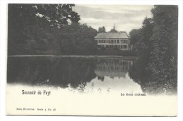 CPA - Souvenir De FAYT - Le Vieux Château  // - Manage
