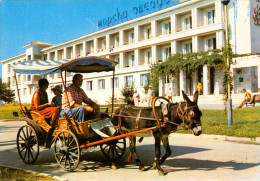 AK Kutsche Bulgarien Varna Zlatni Piassatzi Hotel Morska Zvesda Svesda Warna Balgarija Варн&#107 - Taxis & Huurvoertuigen