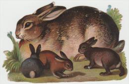 Lapin       Dim: 7,5 / 4,5  Cm - Animals