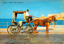 AK Kutsche Malta Maltese Cab Karozzin Pferdewagen Pferd Horse Carrozza Carrosse Alfred Galea Zammit Chaise Caleche - Taxis & Cabs