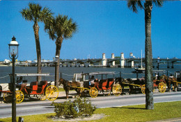 AK Kutsche Saint St. Augustine Florida Carriage Tours Horse-drawn Carriage USA United States Of America Postcard - Taxis & Huurvoertuigen