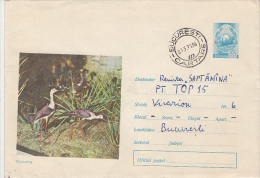 14473- BIRDS, STILT, COVER STATIONERY, 1971, ROMANIA - Cigognes & échassiers