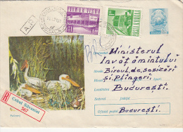 14474- BIRDS, PELICANS, REGISTERED COVER STATIONERY, BUSS, LOCOMOTIVE STAMPS, 1971, ROMANIA - Pélicans