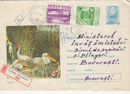 14474- BIRDS, PELICANS, REGISTERED COVER STATIONERY, BUSS, LOCOMOTIVE STAMPS, 1971, ROMANIA - Pelícanos