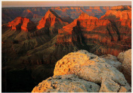 Grand Canyon National Park Postcard, Krishna Shrine, Vishnu Temple And Freya Castle - USA National Parks