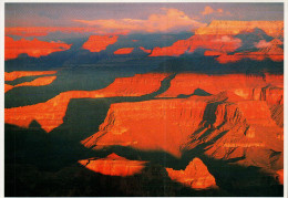 Grand Canyon National Park Postcard, South Rim - USA National Parks