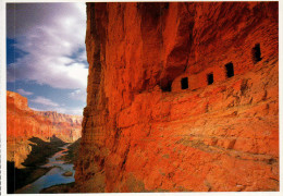Grand Canyon National Park Postcard, Colorado River - USA National Parks