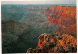 Grand Canyon National Park Postcard, Colorado River From Navajo Point - USA Nationalparks