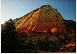 Utah's National Parks Postcard, Zion National Park - USA National Parks