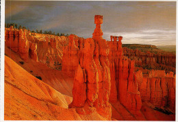 Utah's National Parks Postcard, Bryce Canyon National Park, Down The Navajo Loop Trail - USA National Parks