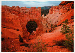 Utah's National Parks Postcard, Bryce Canyon National Park, Natural Bridge - USA National Parks