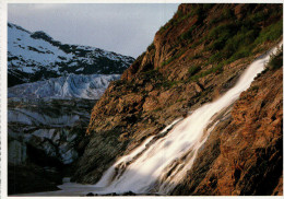 Mendenhall Glacier Postcard, Glacier Ice, At The Terminus Of Mendenhall Glacier - USA National Parks