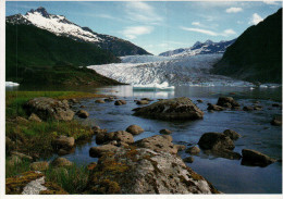 Mendenhall Glacier Postcard, Glacier Ice Melts - USA National Parks