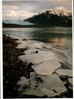 Mendenhall Glacier Postcard, Lake Water Freezes And Thaws - USA National Parks