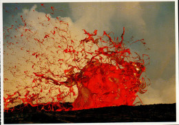 Hawaii VolcanoesNational Park Postcard, Pele's Seaweed - USA National Parks