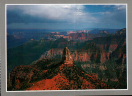 Grand Canyon National Park Postcard, Mt. Hayden From Point Imperial - USA National Parks