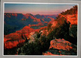 Grand Canyon National Park Postcard, Sunset Mather Point - USA National Parks