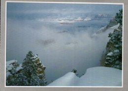 Grand Canyon National Park Postcard, Winter Storm From Sinking Ship Overlook - USA National Parks