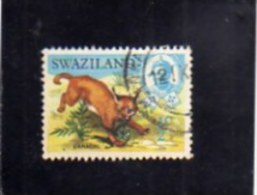 SWAZILAND 1969 FAUNA ANIMALS CARACAL AFRICAN LINX WILDLIFE WILD ANIMAL 1/2c  CENT. 1/2  LINCE ANIMALE SELVATICO USED - Swaziland (1968-...)