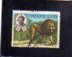 SWAZILAND 1969 FAUNA ANIMALS LION WILDLIFE WILD ANIMAL 3c  CENT. 3 LEONE ANIMALE SELVATICO USED - Swaziland (1968-...)