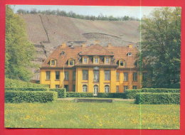 164611 / Radebeul - Schloss "Wackerbarths Ruh" Is Surrounded By Vineyards Baroque Castle In Radebeul - Germany - Radebeul