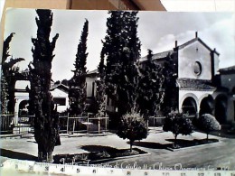 IMOLA TEMPIETTO DI GIULIO II CHIESA OSSERVANZA   VB1962  ES15252 - Imola