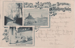 Litho AK 1898 Gruss Bergstadt Hohenstein Ernstthal Stempel Marktplatz Alte Strasse Schubert Denkmal Bei Chemnitz Limbach - Hohenstein-Ernstthal