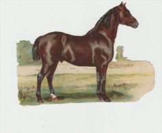 Cheval Noir     Dim: 12 / 8,5 Cm - Animaux