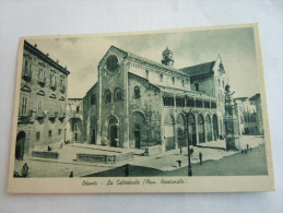 BITONTO LA CATTEDRALE ANIMATA - Bitonto