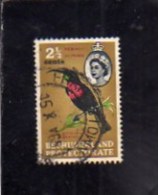 BECHUANALAND 1961 FAUNA AVICOLA BIRDS Scarletchested Sunbird BIRD 2 1/2c UCCELLI UCCELLO CENT 2 1/2 USATO USED OBLITERE´ - 1885-1964 Bechuanaland Protectorate