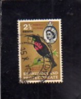 BECHUANALAND 1961 FAUNA AVICOLA BIRDS Scarletchested Sunbird BIRD 2 1/2c UCCELLI UCCELLO CENT 2 1/2 USATO USED OBLITERE´ - 1885-1964 Protectorat Du Bechuanaland
