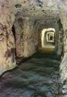 80 Grottes De NAOURS  Galerie De 100m - Naours