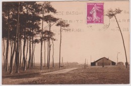 Pyrénées  Atlantique  : Env. De  BOUCAU : Les  Bois  De  Pins  Du  Boucau - Boucau