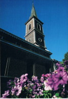 Maaseik  Sint Catharina Kerk - Maaseik