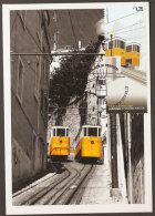 Portugal Tram Ascenseur Du Lavra Lisbonne Carte Maximum 2010 Lavra Elevator Tramway Lisbon Maxicard - Tramways