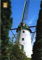 GIERLE Bij Lille (Antw..) - Molen/moulin - Historische Opname Van Molen ´In Stormen Sterk´ Met Slechts Twee Wieken - Lille