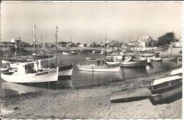 LA COTINIERE. LE PORT - Saint-Pierre-d'Oleron