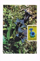 R 944. Tarjeta Maxima ANDORRA Francesa 1977. Flores, Flowers - Maximumkarten (MC)