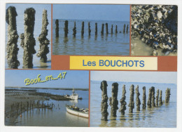 {74893} Les Bouchots , Multivues - Pêche
