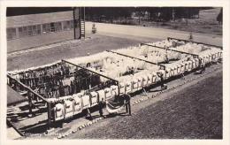 Idaho Farragut Naval Training Center Company Clothesline Real Photo RPPC - Other & Unclassified