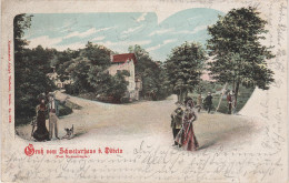 Litho AK Gruss Gasthof Schweizerhaus Niederstriegis Bei Döbeln Mahlitzsch Striegis Rosswein Nossen Ziegra Waldheim - Döbeln