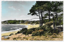 (RECTO / VERSO) VAUX SUR MER - N° 482 - LA PLAGE DU PLATIN - FORMAT CPA - Vaux-sur-Mer