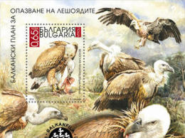 BULGARIA 2010 FAUNA Animals Birds VOUCHERS - Fine S/S (6500 Copies) MNH - Nuevos