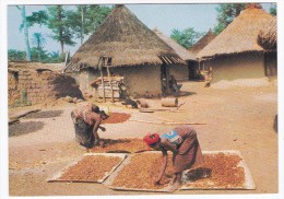 Afrique En Couleurs  Vie Au Village  ( Bangui 1984 ) - Central African Republic
