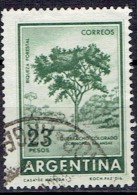 ARGENTINA #  STAMPS FROM YEAR 1965 STANLEY GIBBONS 1019 - Gebraucht